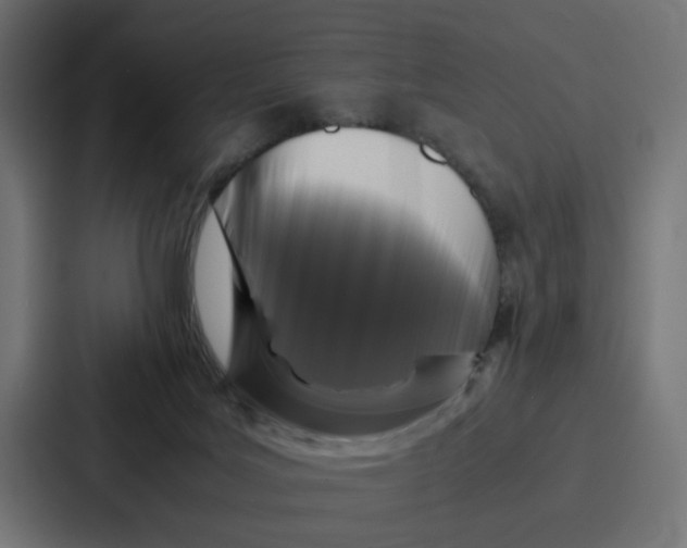 X0000087320027200705112146