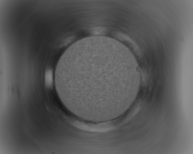 X0000087320028200705112146