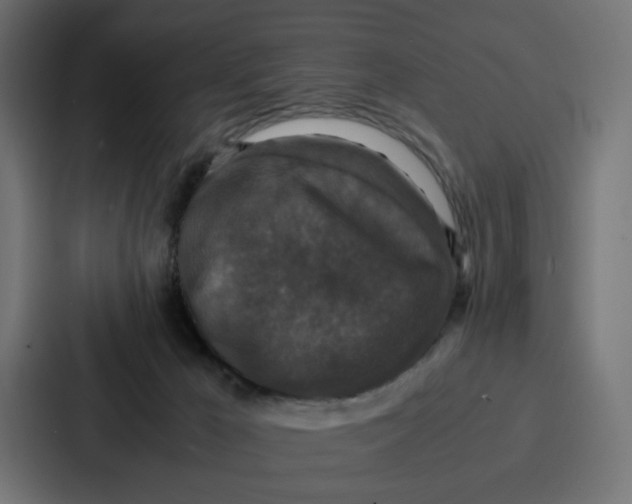 X0000087320029200705112146