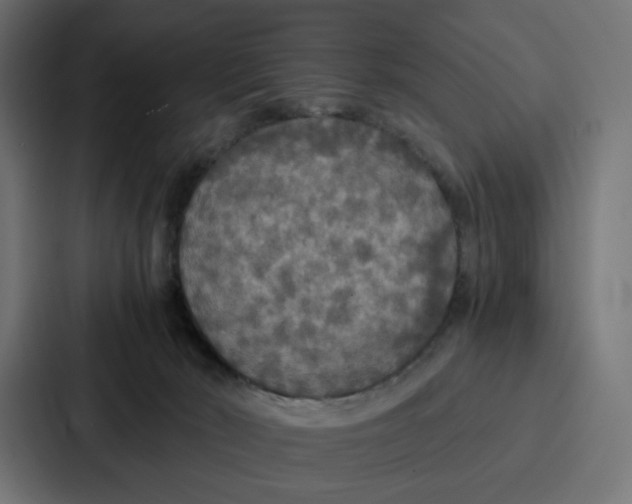 X0000087320030200705112146