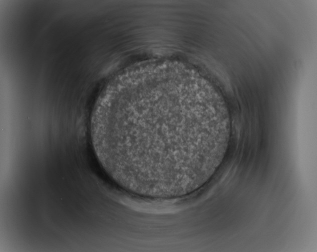 X0000087320032200705112146