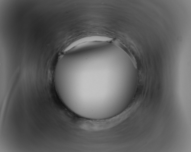 X0000087320033200705112146