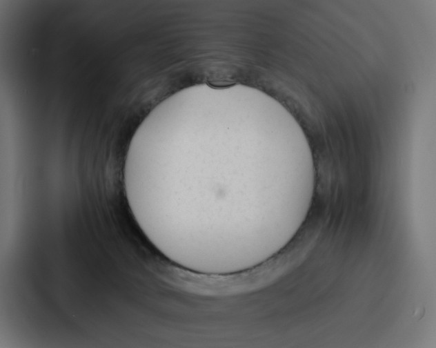 X0000087320034200705112146