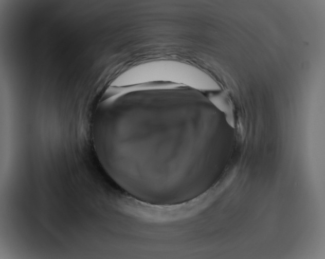 X0000087320035200705112146