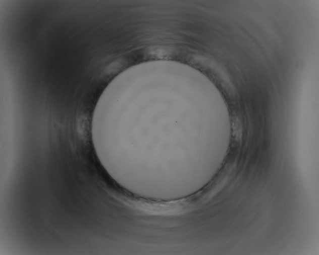 X0000087320036200705112146