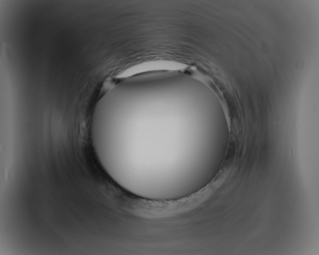 X0000087320037200705112146