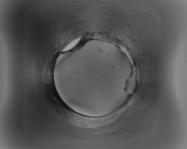 X0000087320039200705112146