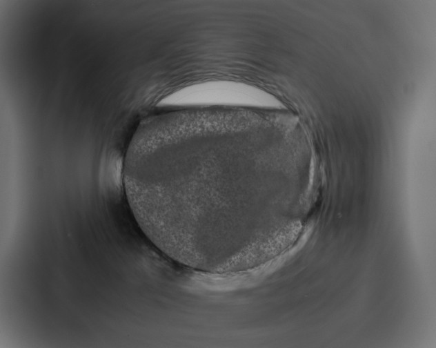 X0000087320041200705112146