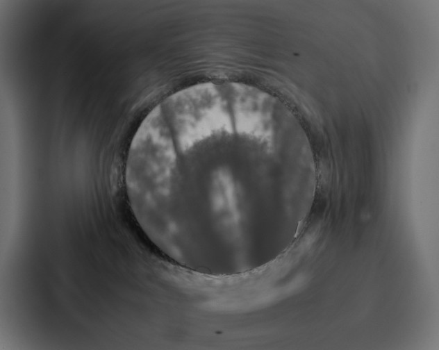 X0000087320043200705112146