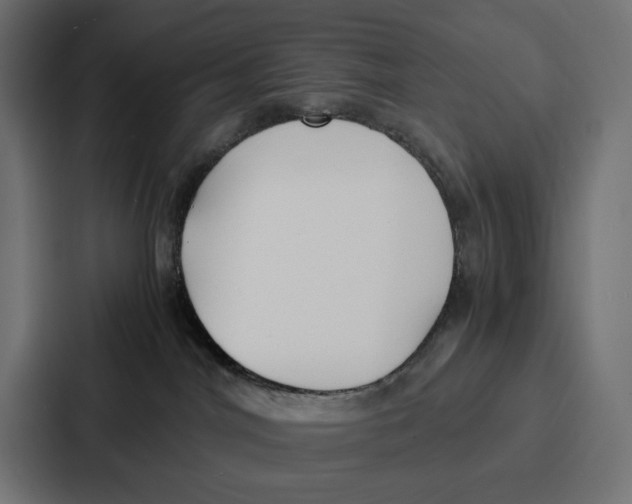 X0000087320044200705112145