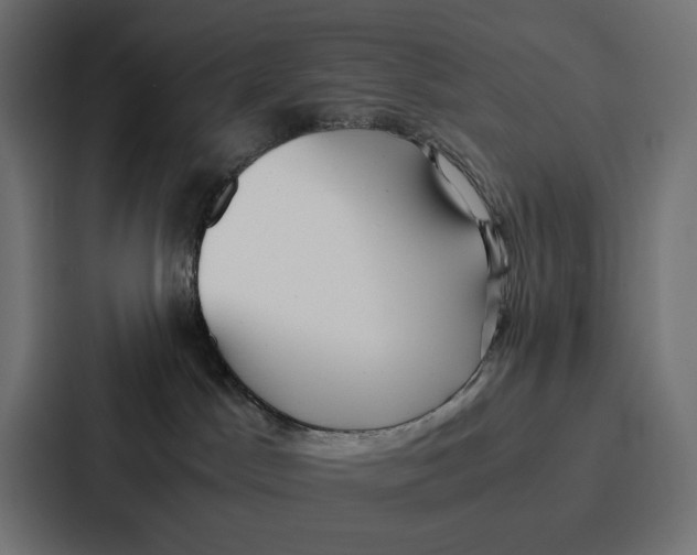 X0000087320045200705112145