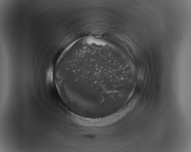 X0000087320046200705112145