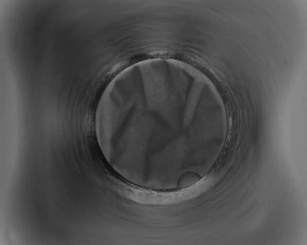 X0000087320048200705112145