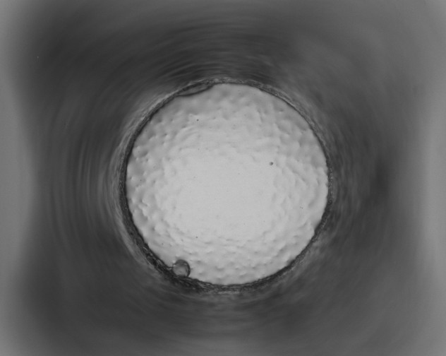 X0000087320049200705112145