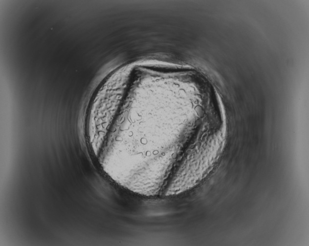 X0000087320051200705112145