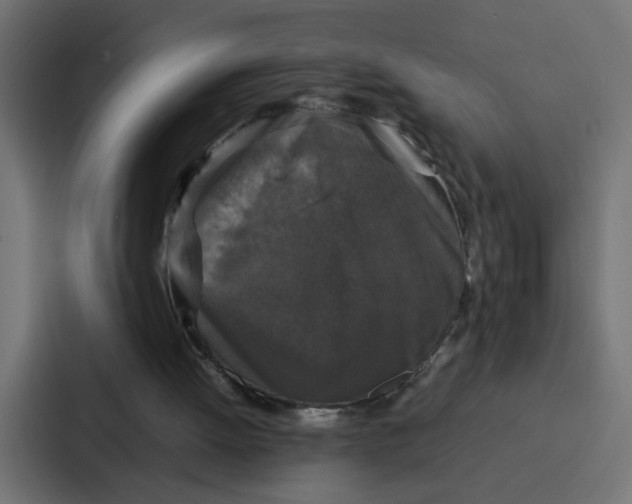 X0000087320052200705112145