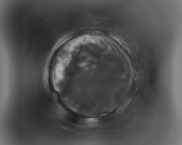 X0000087320053200705112145