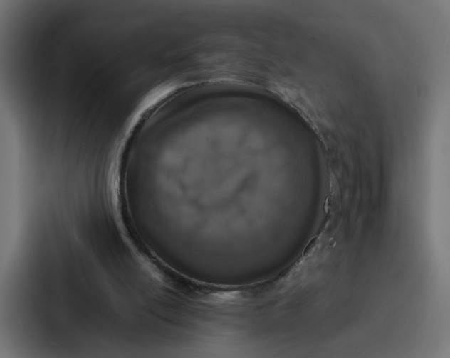 X0000087320054200705112145