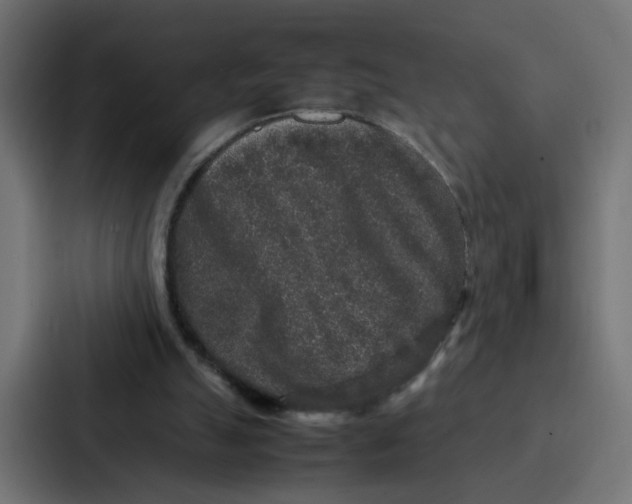 X0000087320055200705112145