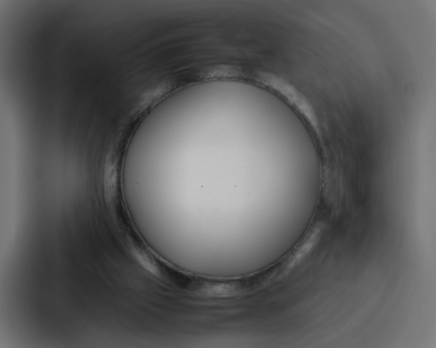 X0000087320057200705112145