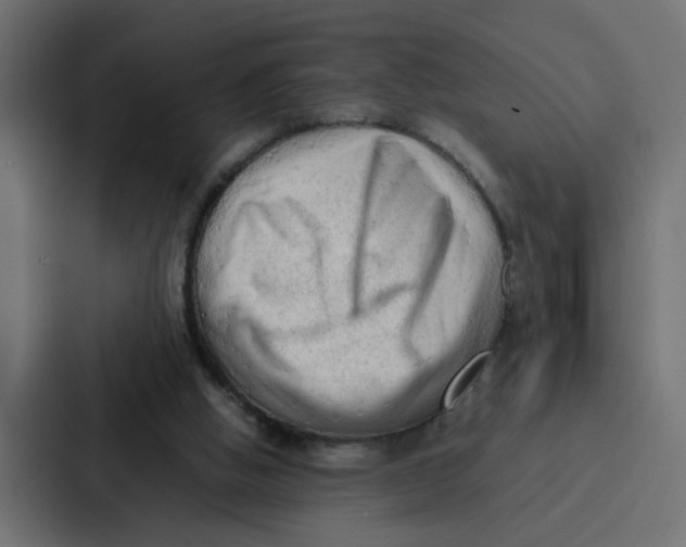 X0000087320058200705112145