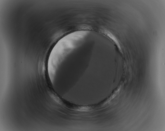 X0000087320059200705112145