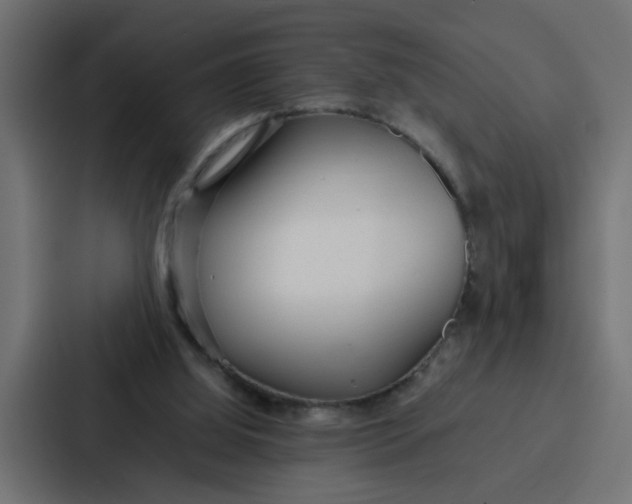 X0000087320060200705112145