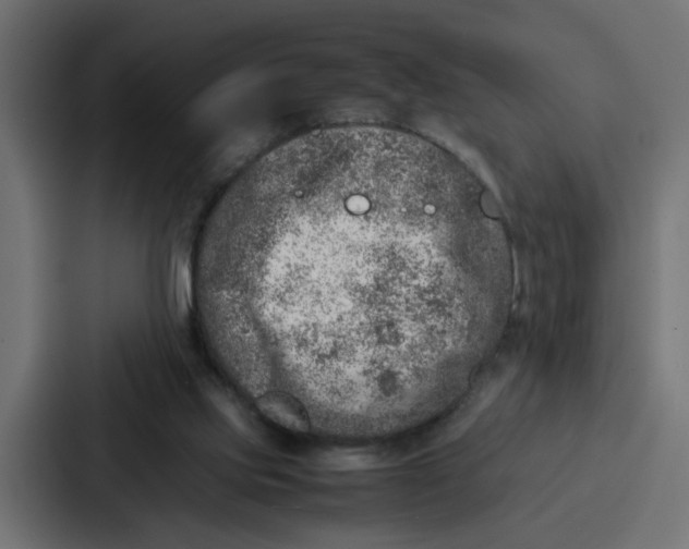 X0000087320061200705112145