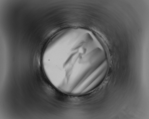 X0000087320062200705112145