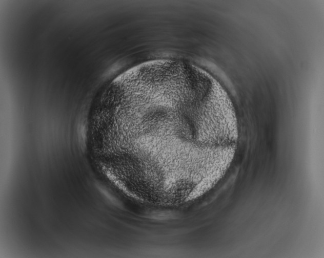 X0000087320063200705112145