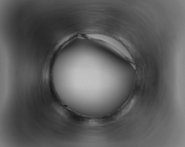 X0000087320064200705112145