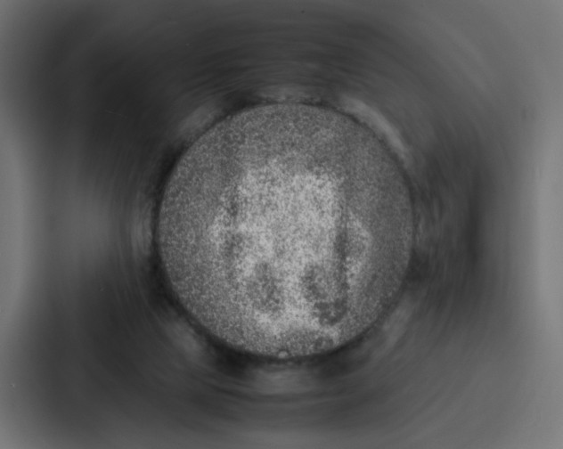 X0000087320065200705112145