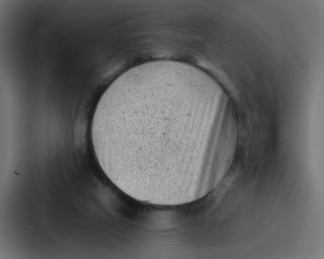 X0000087320066200705112145