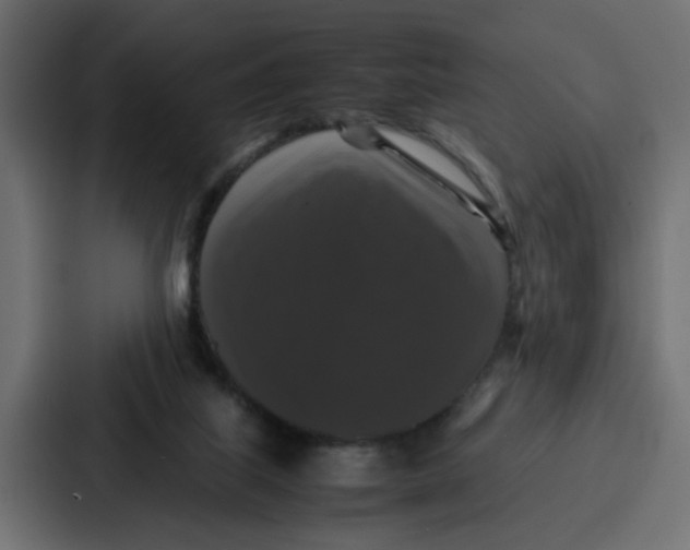 X0000087320067200705112145