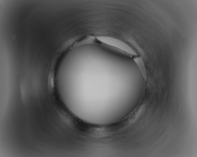 X0000087320068200705112145