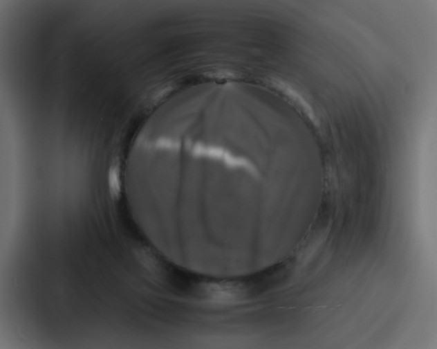 X0000087320069200705112145