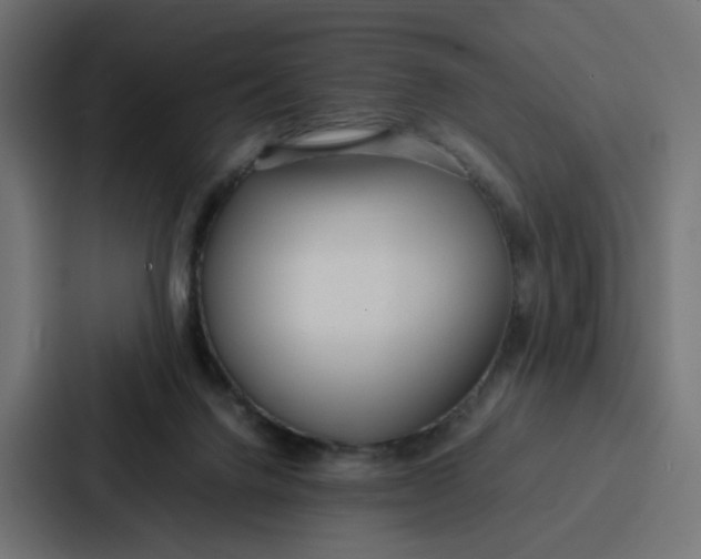 X0000087320072200705112145