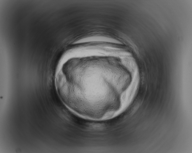 X0000087320073200705112145