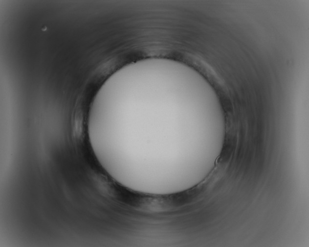 X0000087320074200705112145