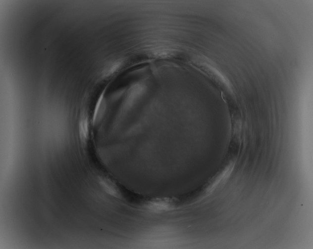 X0000087320076200705112145