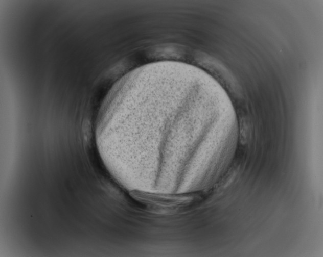 X0000087320077200705112145