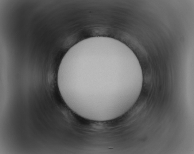 X0000087320079200705112145