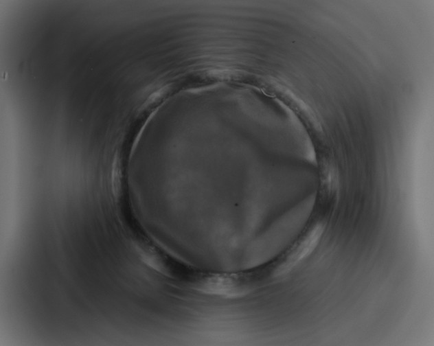 X0000087320080200705112145