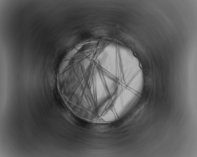 X0000087320081200705112145