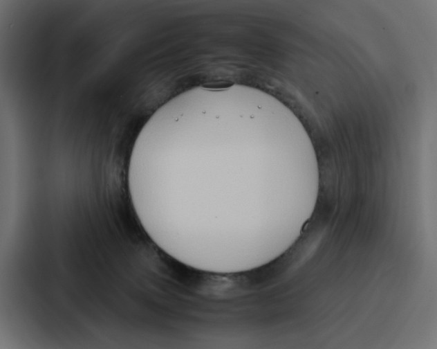 X0000087320083200705112145