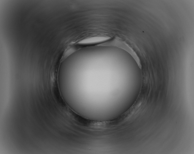 X0000087320084200705112145