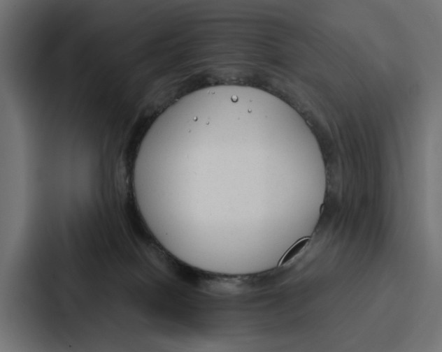 X0000087320086200705112145