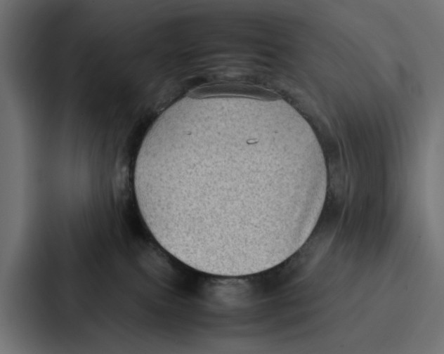 X0000087320087200705112145