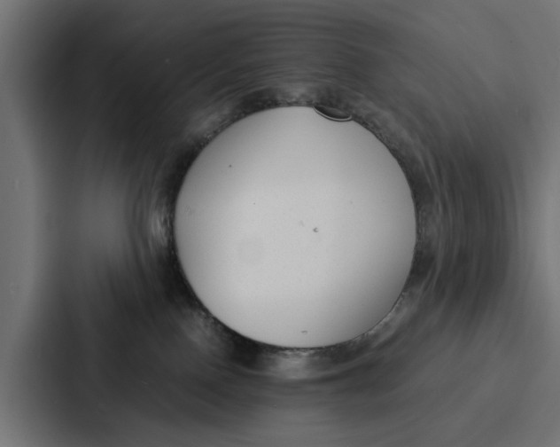 X0000087320090200705112145