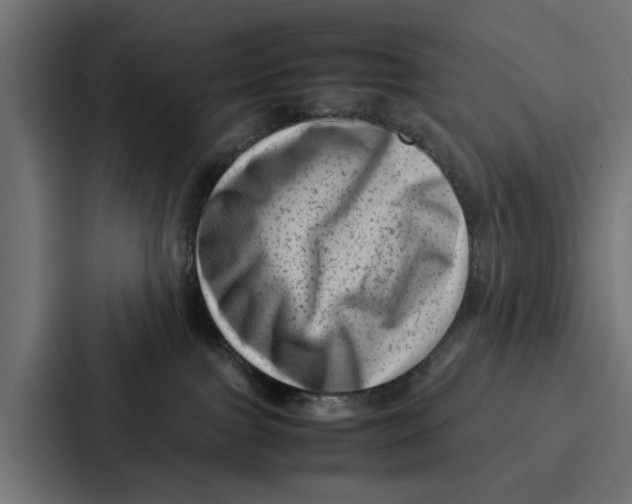 X0000087320091200705112145